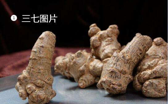 三七圖片1